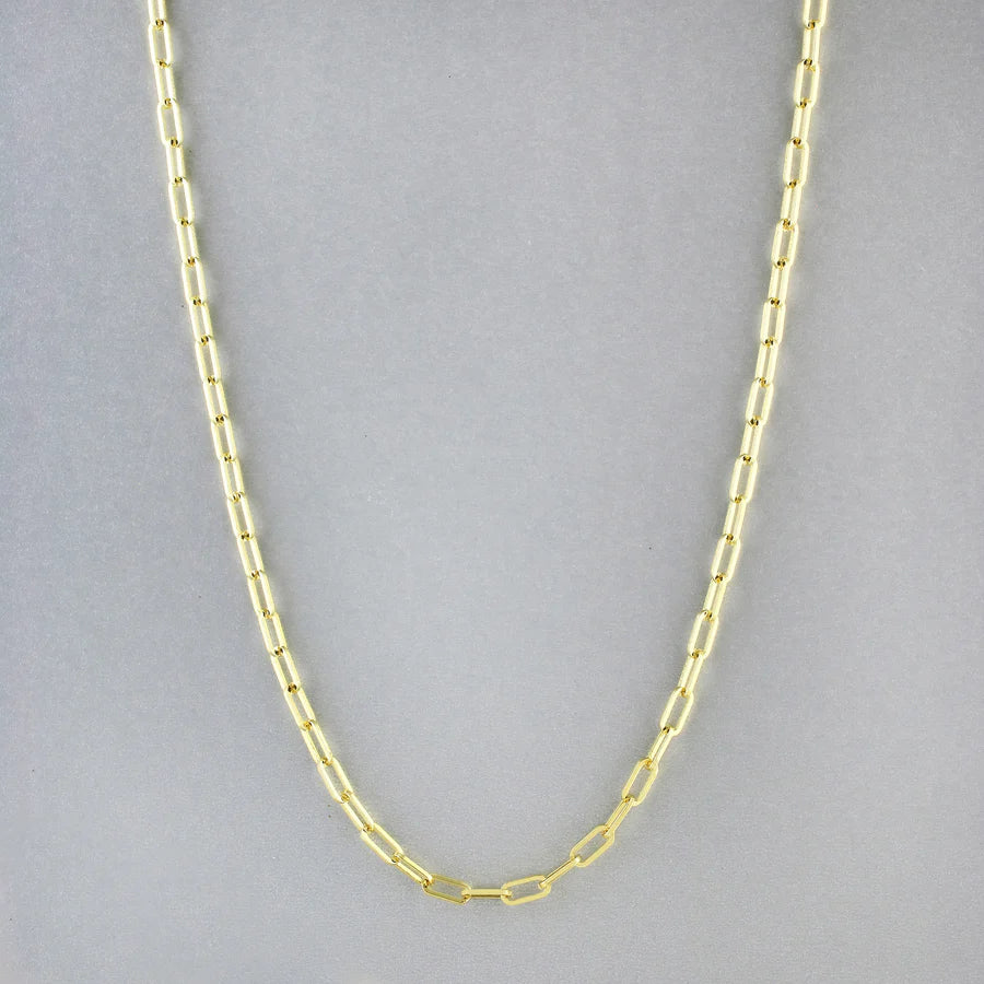 Cobblestone EVA 20 INCH LINK NECKLACE